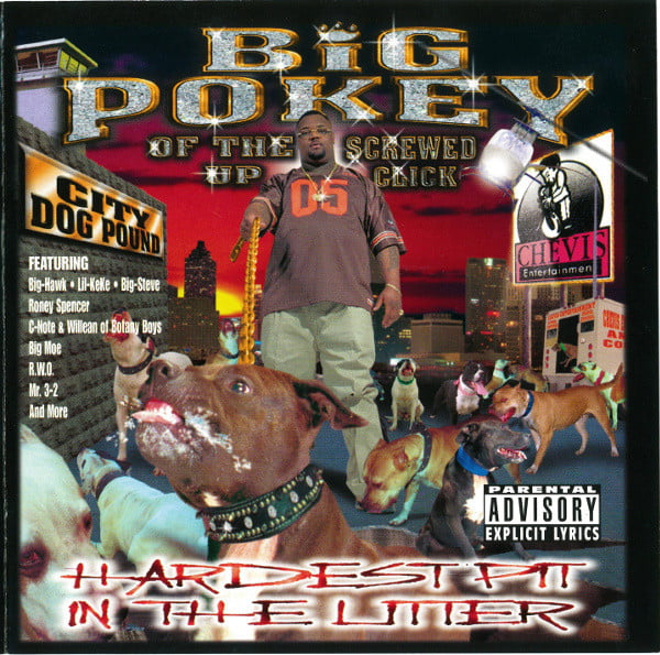 Top 25 Greatest Screwed Up Click Albums - Hardest Pit in the Litter